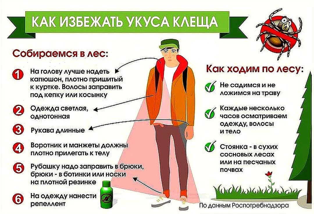 profilaktika_kve_2.jpeg
